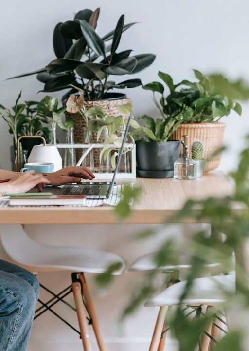 Tips for Creating a Cozy and Productive Home Office Space