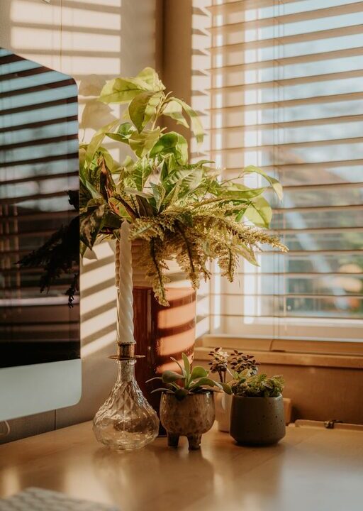 Tips for Creating a Cozy and Productive Home Office Space